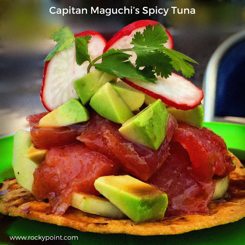 maguchi spicy tuna