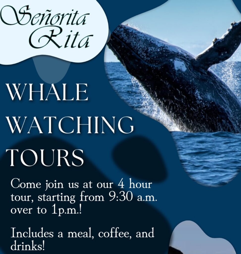 senorita rita whale watching tour flyer