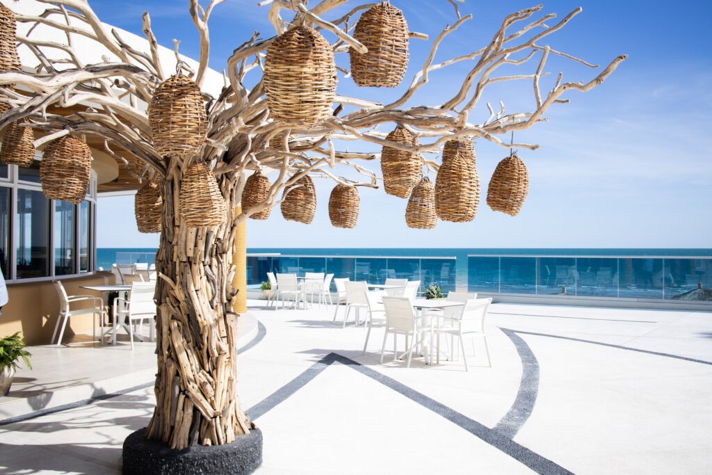 Santo Coyote Restaurant at the Encantame Towers, Craft Mexican Cuisine in Rocky Point, Best Restaurants in Puerto Penasco, Tacos, Cocktails, Octopus, Steak, Ocean Views