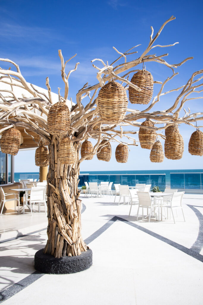 Santo Coyote Restaurant at the Encantame Towers, Craft Mexican Cuisine in Rocky Point, Best Restaurants in Puerto Penasco, Tacos, Cocktails, Octopus, Steak, Ocean Views
