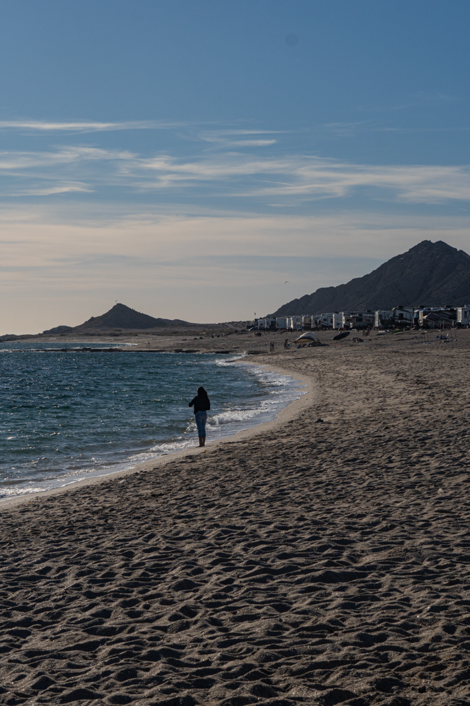 Wrecked at the Reef, Restaurants with Live Music in Rocky Point, Top Restaurants in Rocky Point