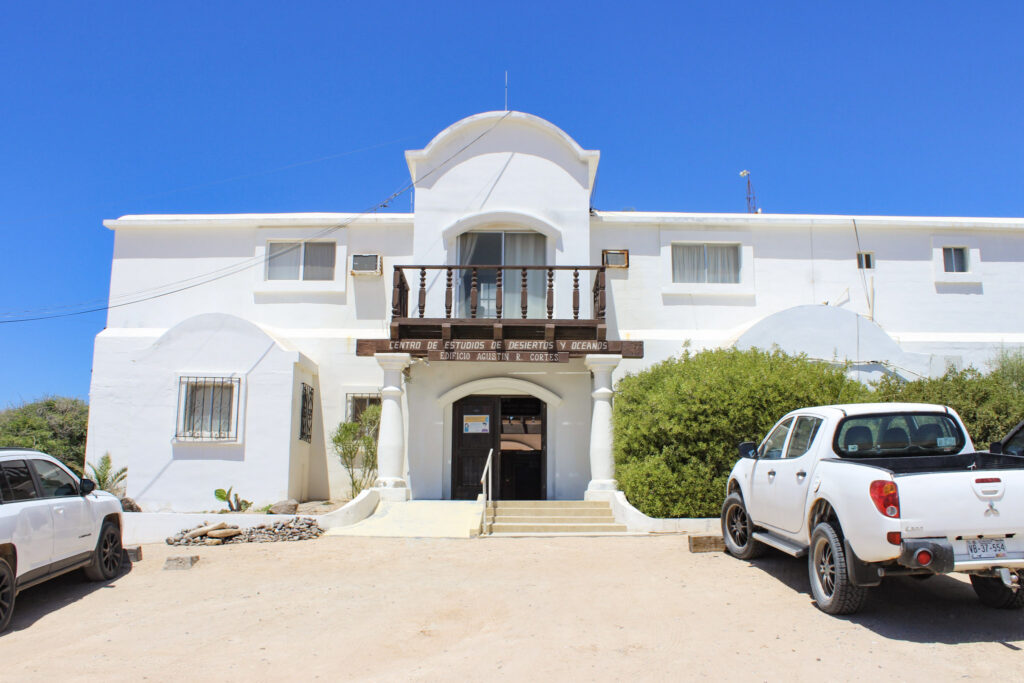 Exterior, CEDO, Intercultural Center for the Study of Deserts and Oceans, Rocky Point Museum, Educational Activities in Rocky Point