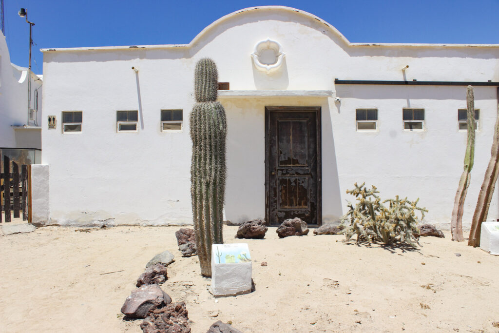 CEDO, Intercultural Center for the Study of Deserts and Oceans, Rocky Point Museum, Educational Activities in Rocky Point
