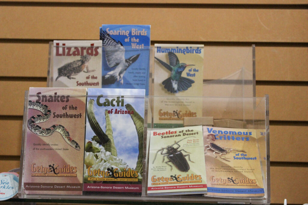 Educational Pamphlets, CEDO, Intercultural Center for the Study of Deserts and Oceans, Rocky Point Museum, Educational Activities in Rocky Point