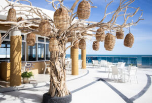 Tree in front of Santo