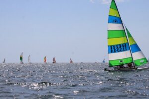 Pinata Regatta