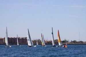 Pinata Regatta